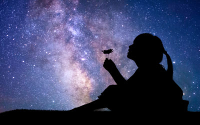 Dreams of a Young Storyteller