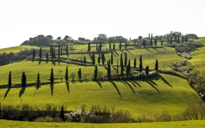 Dystopian Ideas in Gironella’s The Cypresses Believe in God